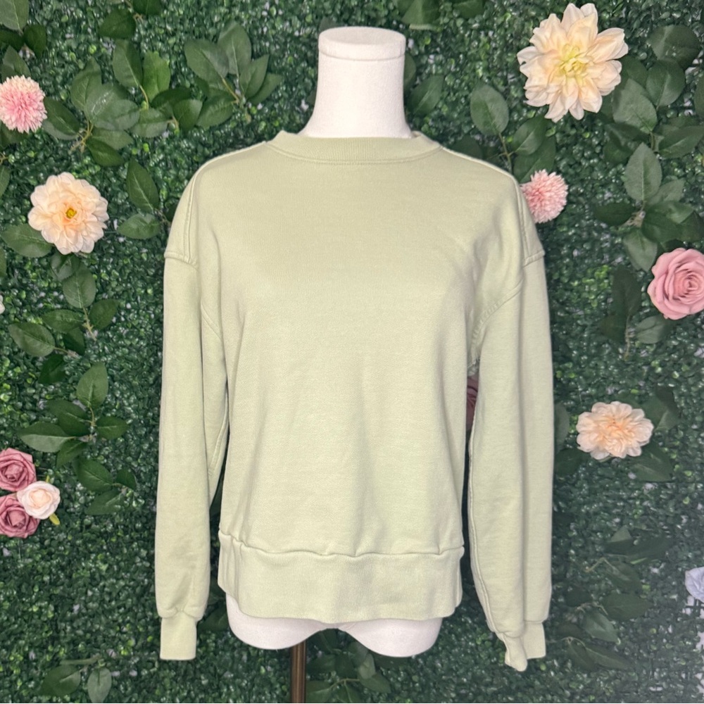 Everlane Organic Cotton Sweatshirt in Light Green